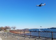 British Airways flight 213 coming in over Castle Island