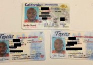 Fake licenses used in the plot