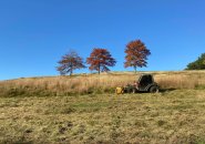 Mowing at Millennium Park