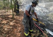 Firefighters fight brush fire in Stony Brook Reservation