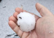 Snowball in person's hand in Cambridge