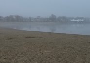 Fog at Constitution Beach