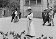 Feeding pigeons at Park Street station