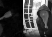 Surveillance photos of prowler