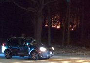 Brush fire in the woods off West Roxbury Parkway and Weld Street