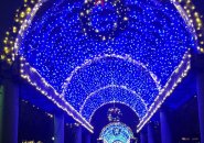 Blue lights on trellis at Christopher Columbus Park