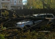 Car hit by tree in lower Allston