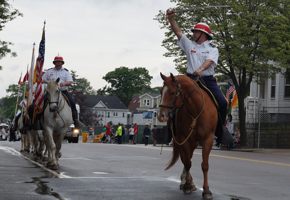 Horses in Dorchester Day parade