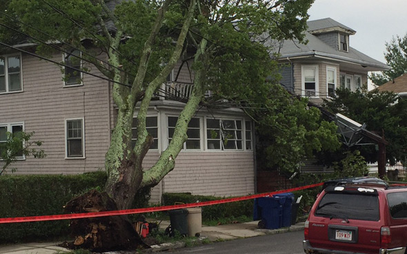 Nikisch Avenue in Roslindale