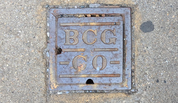 BCG