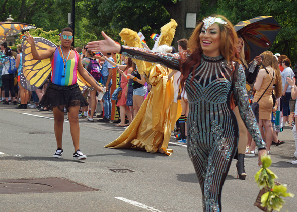 Pride: Butterfly dancer