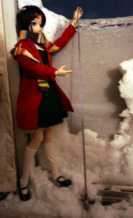 Doll measuring the snow