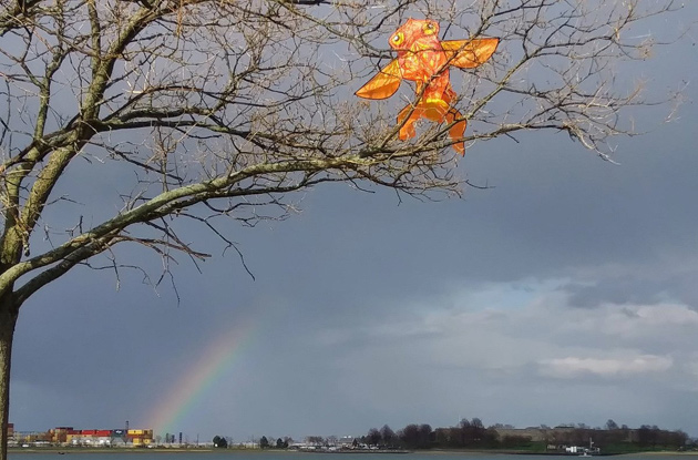 Rainbow and kite