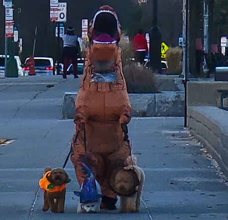 Dinosaur walking dogs