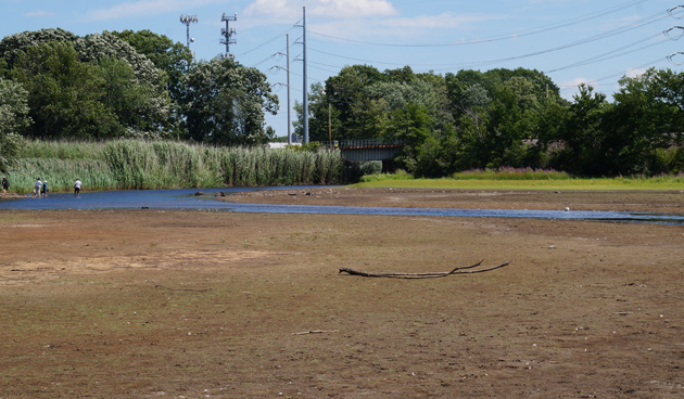 Dried up river