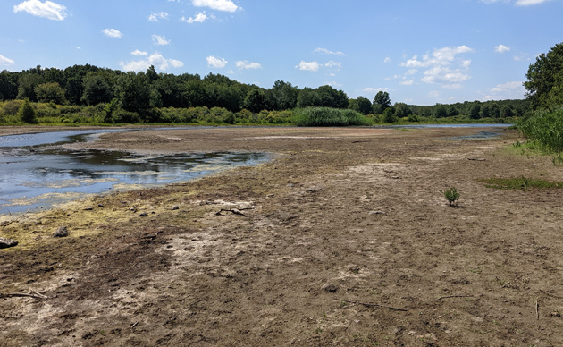 Massachusetts Drought: Charles River Dry in Some Areas – NBC Boston