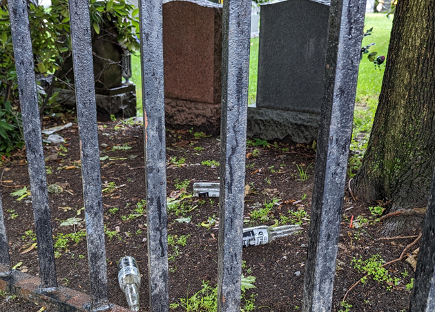 Dumped Corona bottles