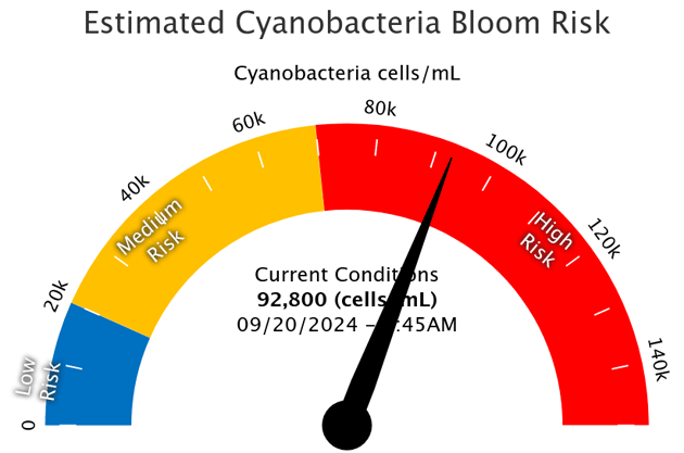 Chart showing high levels of estimaged cyanobacteria