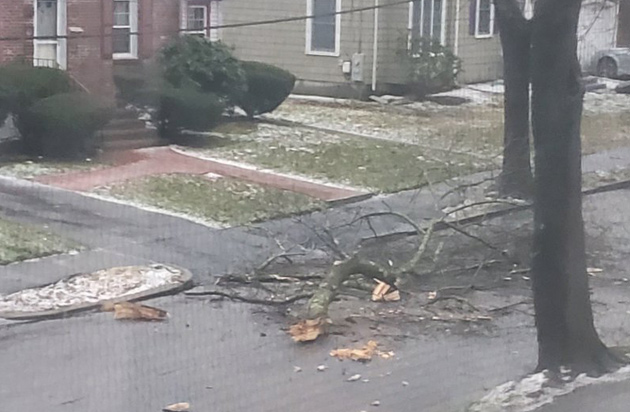 Tree limb in the road in Newton