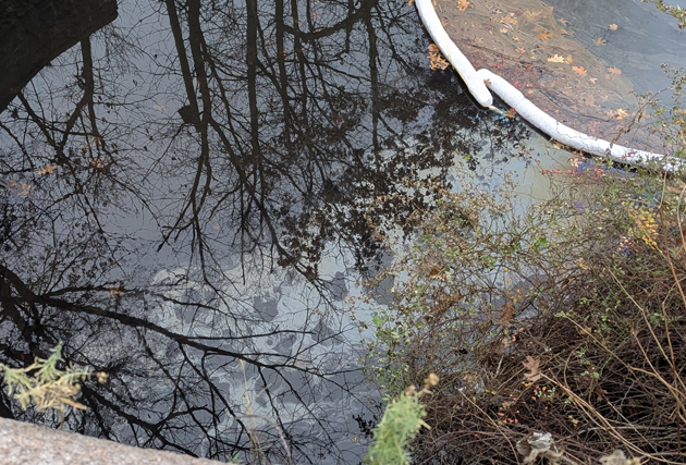 Oil sheen on Muddy River in front of Brookline Coal and Ice