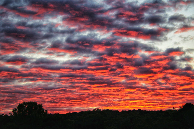 Brilliant orange sunrise over Franklin Park